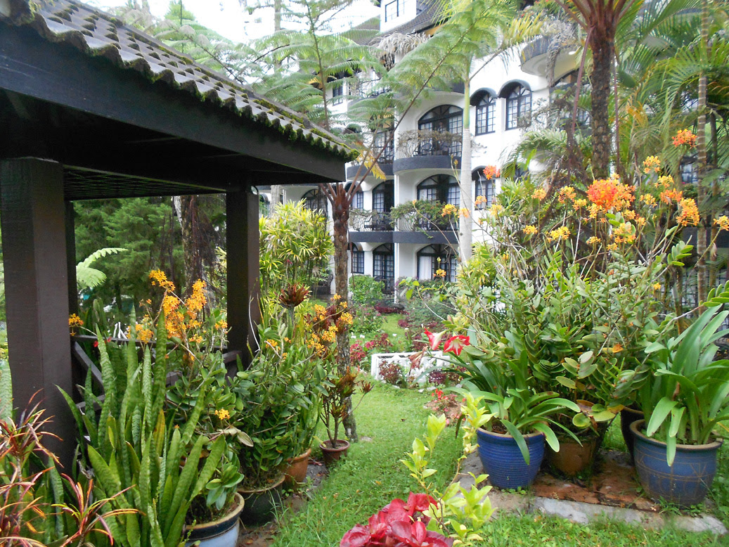Landskap Strawberry Park Resort landskap strawberry park resort Berlibur di Strawberry Park Resort, Cameron Highlands