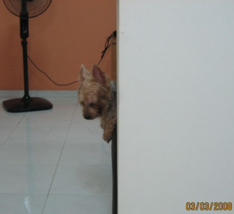 on-sofa_mop-flr-03.jpg