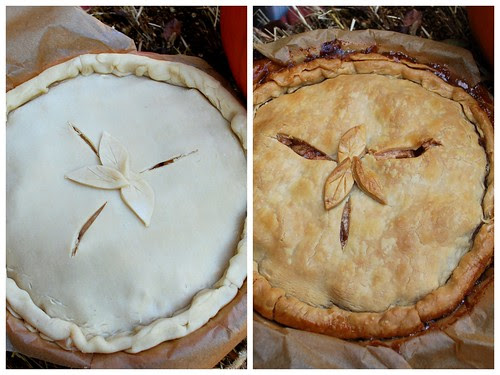 UD Apple Pie Collage