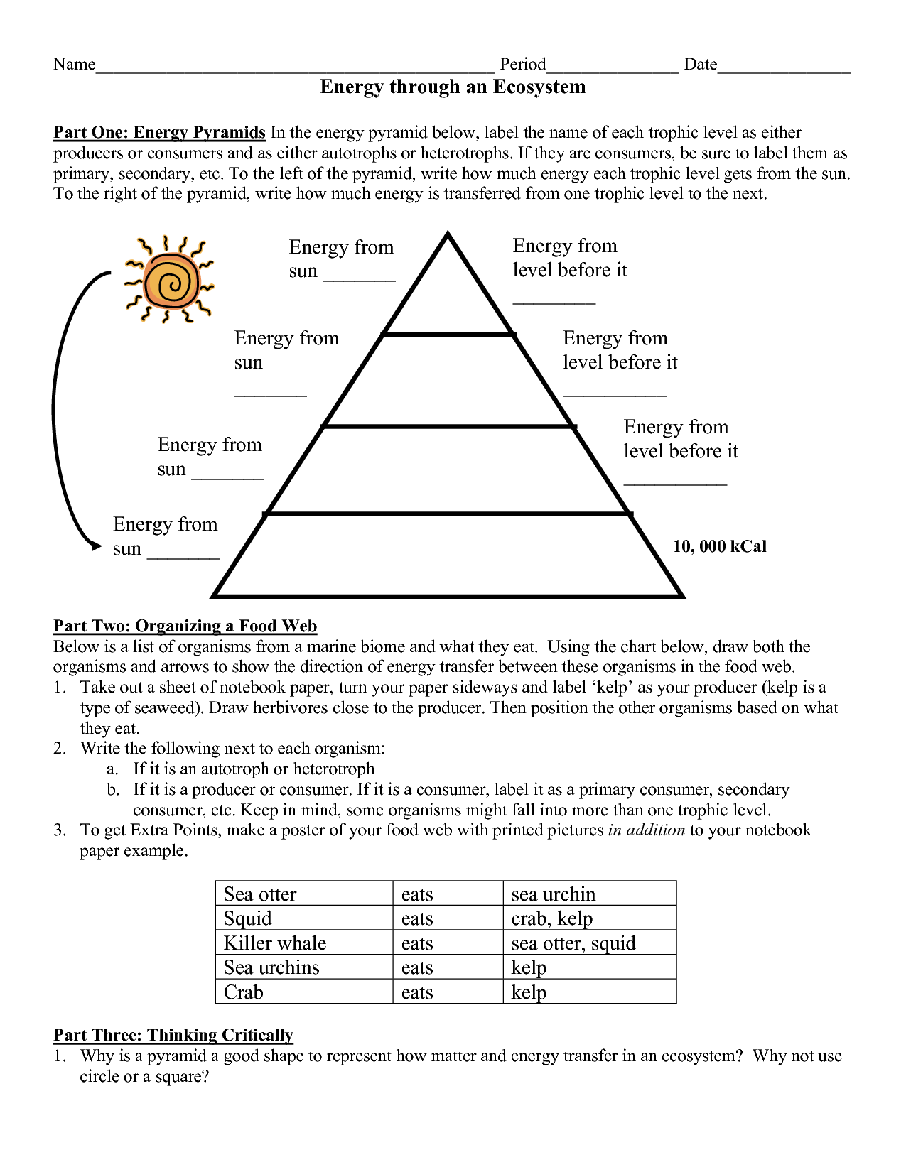 Energy Flow In Ecosystems Worksheet Answers - Nidecmege Inside Energy Flow In Ecosystems Worksheet