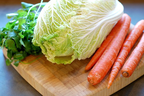 Cilantro, Napa cabbage, and carrots by Eve Fox, Garden of Eating blog, copyright 2012