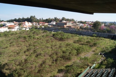 A selva que virou o Wolmar Salton. Foto cedida pelo S.C. Gaúcho