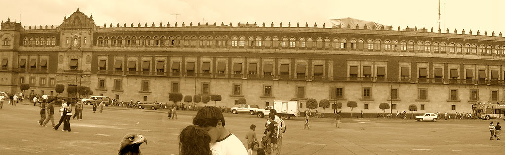 Regreso al origen: un aguila paseando tranquila frente al Palacio Nacional en México.
