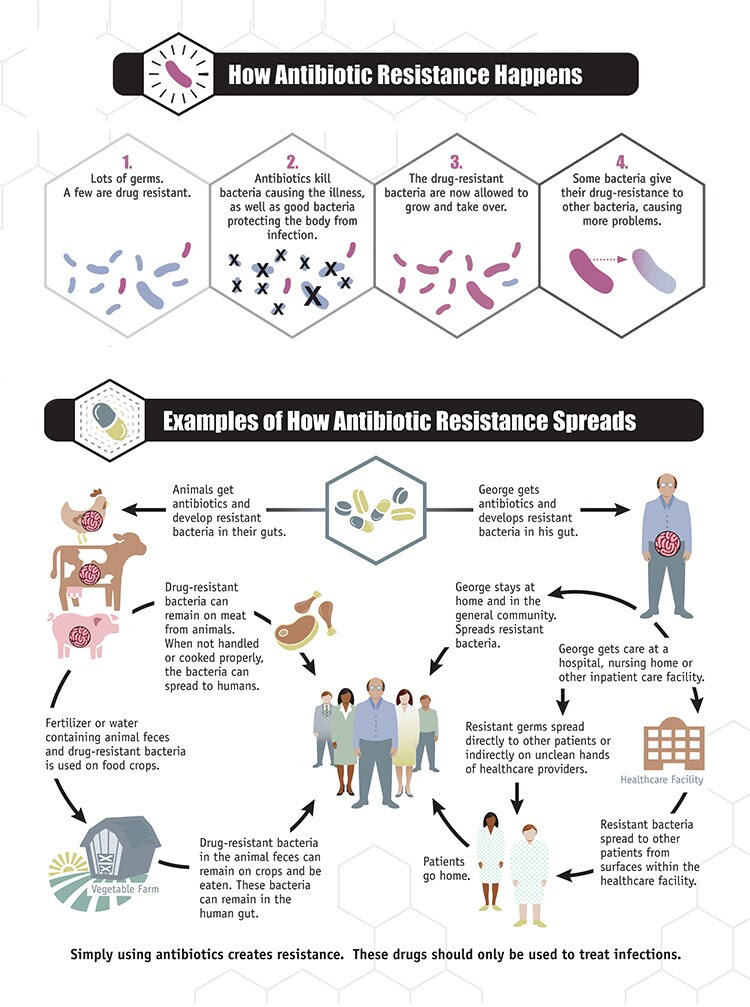 Examples of How Antibiotic Resistance Spreads