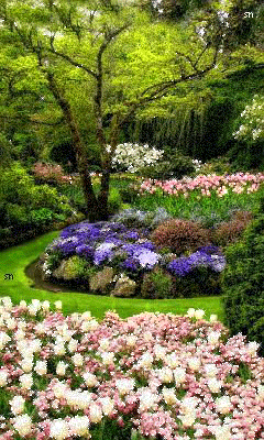 Дивный сад