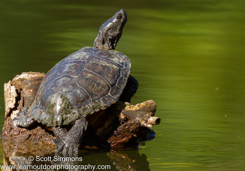 Photo & Video Sharing by SmugMug Photo & Video Sharing by SmugMug