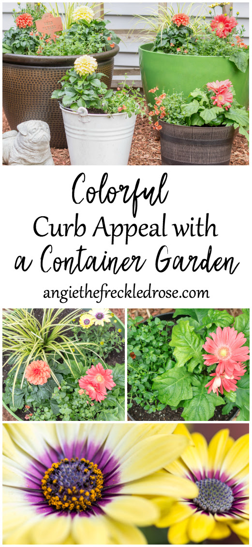 Add Colorful Curb Appeal with a Container Garden | angiethefreckledrose.com
