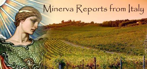 Minerva Reports from Italy
