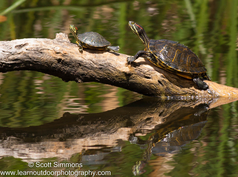 Photo & Video Sharing by SmugMug Photo & Video Sharing by SmugMug