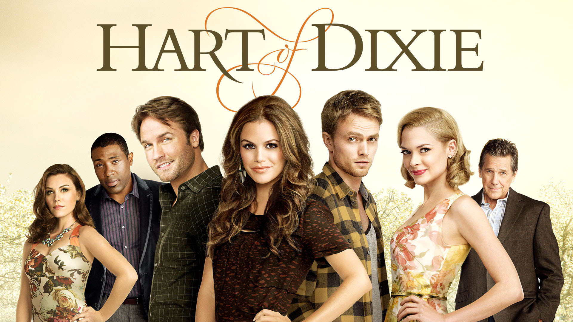 Image result for hart of dixie