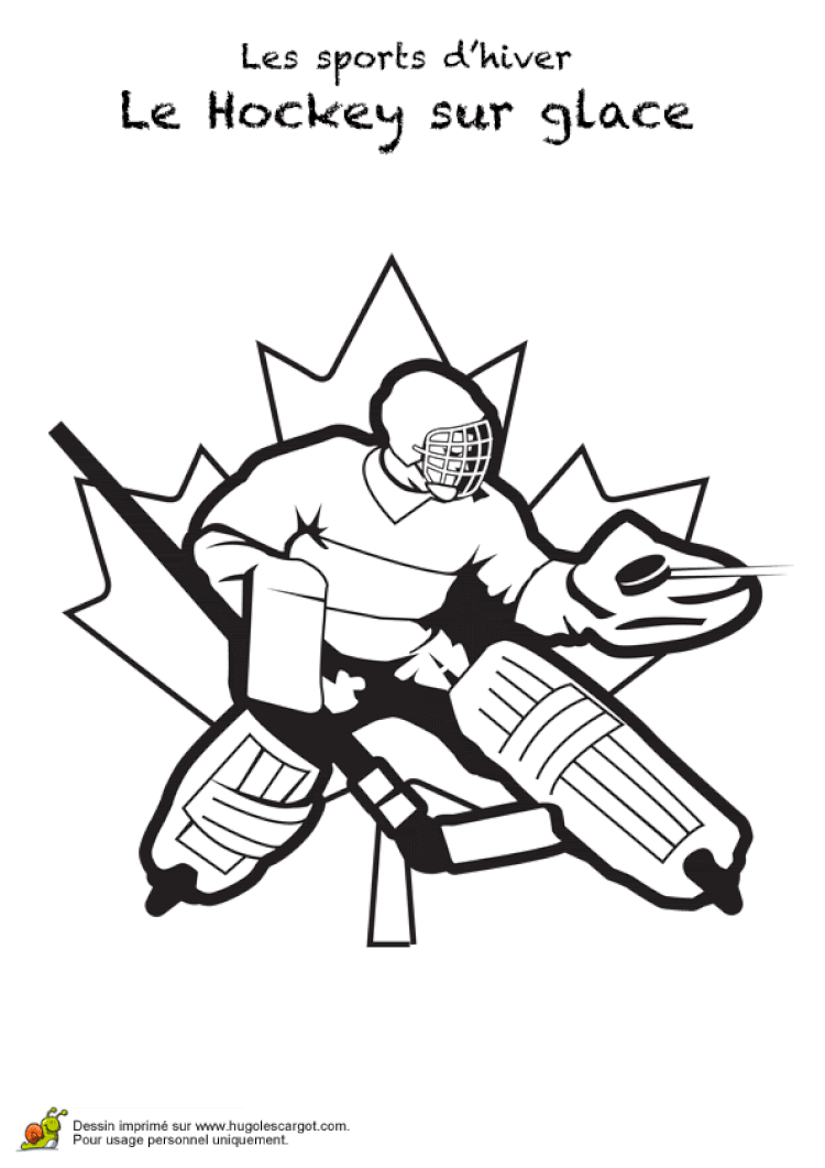 15 Coloriage Sport D Hiver Imprimer  Haut Coloriage HDImages et