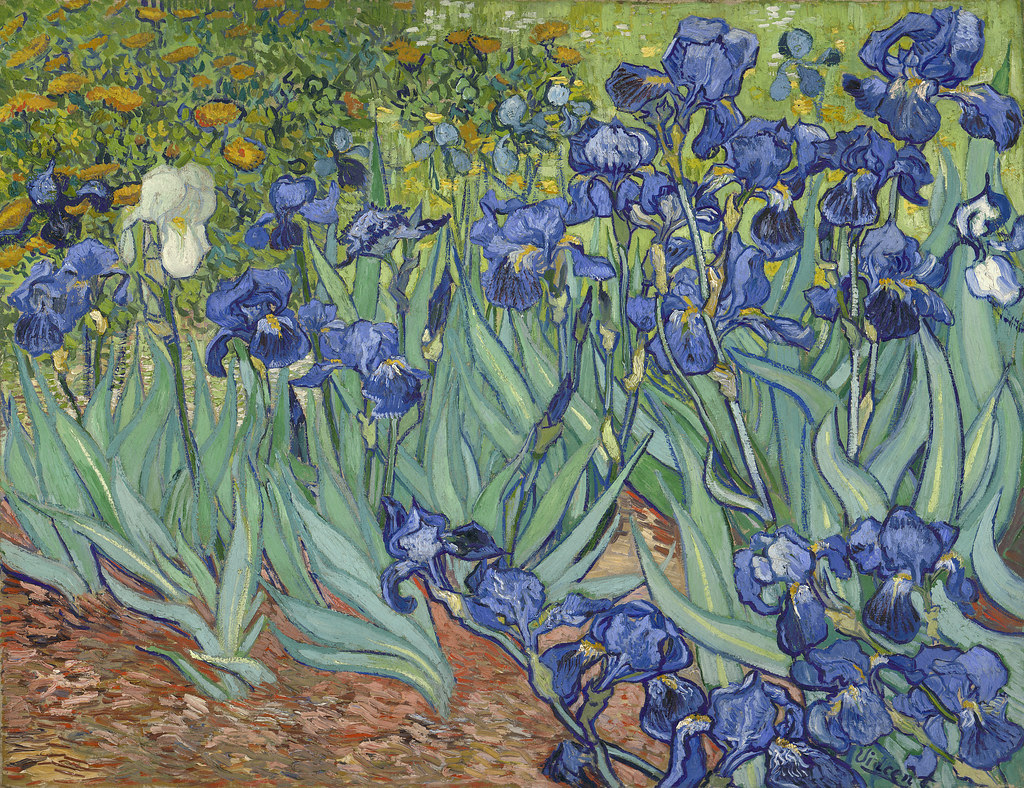 Irises; Vincent van Gogh