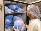 Unlike organs, tissue doesn't need to be transplanted immediately.  Storage facilities like Tissue Banks International in San Rafael, Calif., process and store donated tissue for later use in medical products or as transplants.