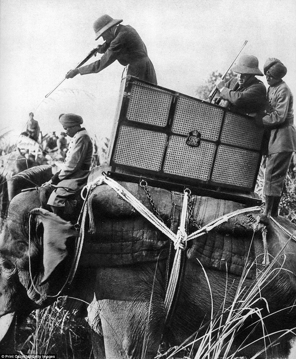 King George V of Great Britain is pictured hunting a tiger during the 10-day expedition in Nepal in 1911 - following the Delhi Durbar in India