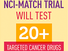 The NCI-MATCH trial will test 20+ targeted cancer drugs