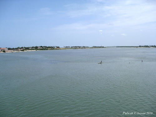 Pulicat Lake view from the bridge