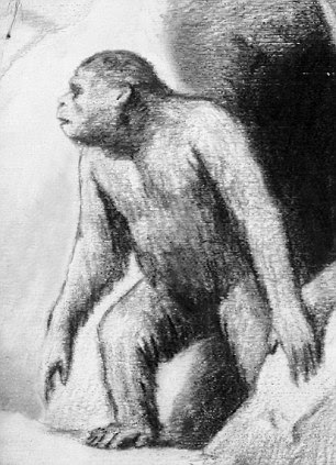 Hunted: An artist's impression shows a primitive Yeti emerging from a cave