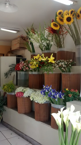 Opiniones de La Floristeria en Santiago de Surco - Floristería