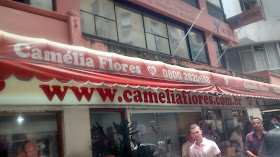 A Camelia Flores