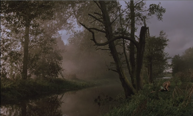 photo ad3643bf-6d09-4fb6-8746-504c8ad879b3_zps0959850f.png