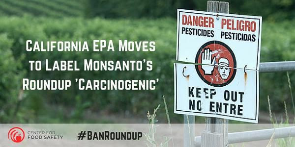 La California diventa il primo stato Usa ad etichettare il Roundup della Monsanto come cancerogeno