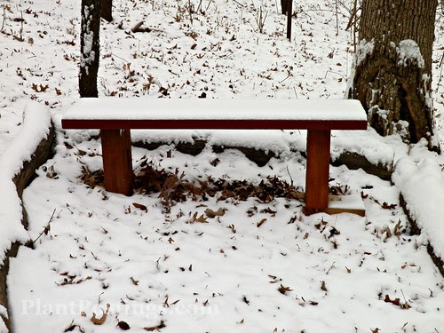 bench3
