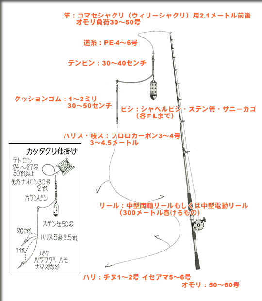 最新ワラサ 釣り 仕掛け すべての魚の画像