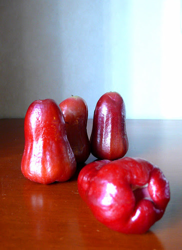 macopa