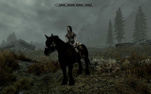 Skyrim - I stole a horse