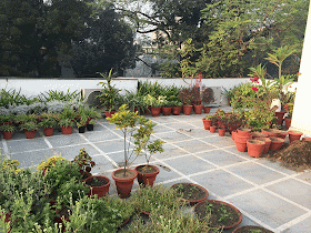 Jcgardendesign Terrace Garden Design Ideas India