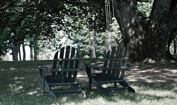 Adirondack Chairs Beneath a Tree at the Cranwell Resort, Spa, and Golf Club