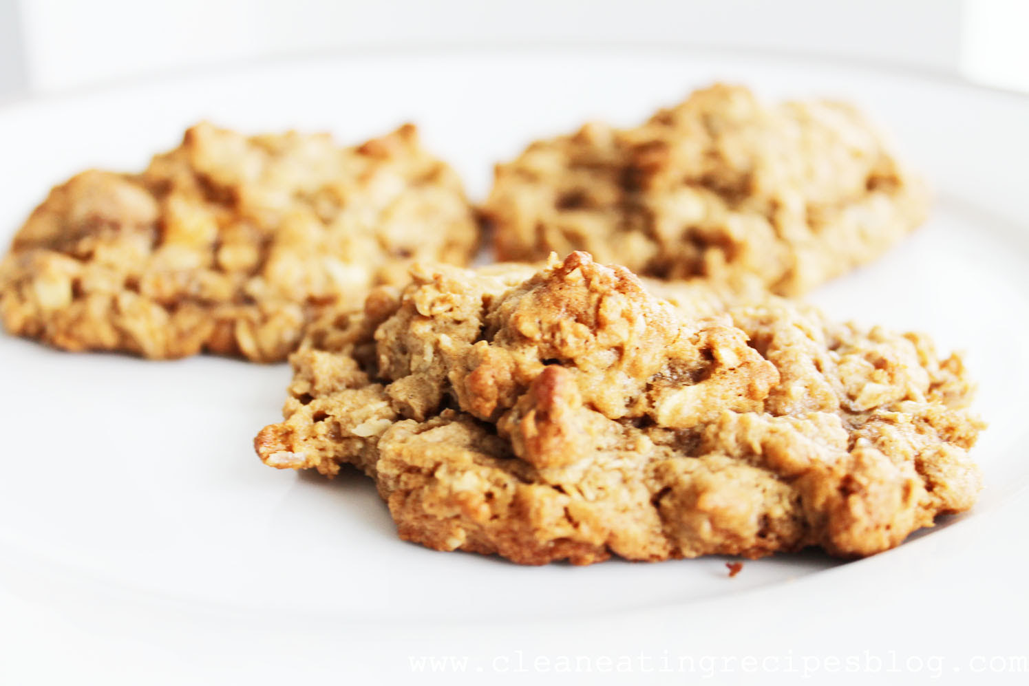 WORKOUT LOSE WEIGHT: Clean Eating Dessert - Oatmeal Peanut Butter Cookie.