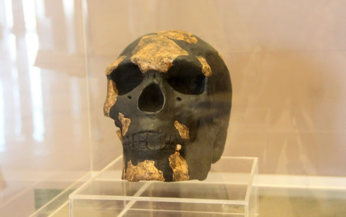 Hóa thạch người tinh khôn cổ nhất thế giới: Lịch sử đảo lộn