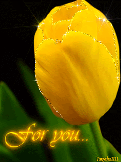 Нежный желтый тюльпан