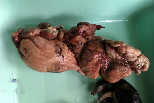 20120627T161955.jpg