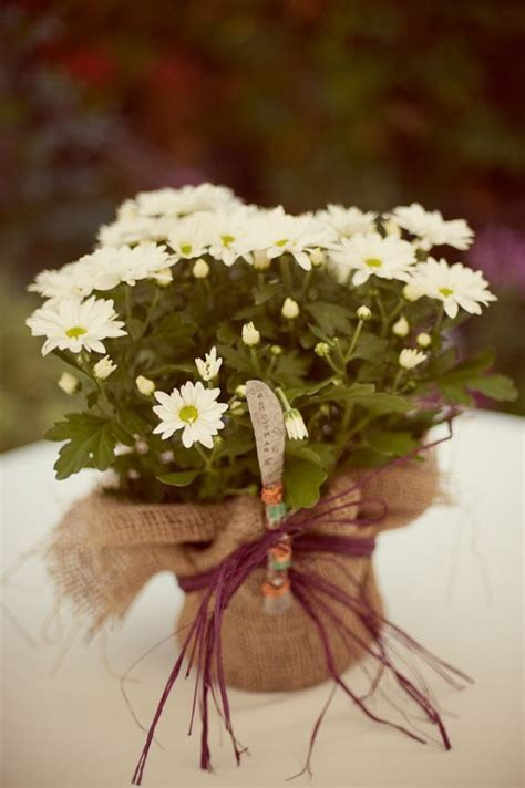 Best 25 Fall wedding mums ideas on Pinterest Autumn Best 25 Fall wedding mums ideas on Pinterest Autumn