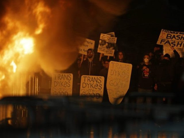 Image result for berkeley riots 2017
