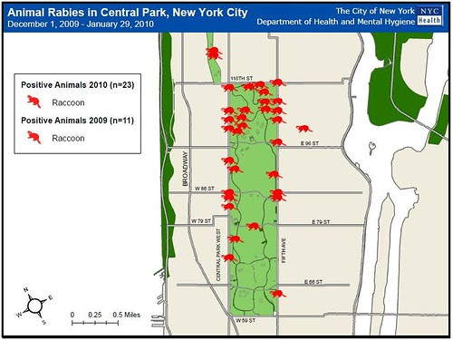 Animal Rabies in Central Park, 12/1/2009-1/29/2010, NYC DOH