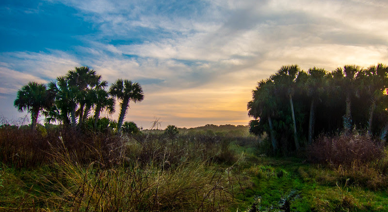 Photo & Video Sharing by SmugMug Photo & Video Sharing by SmugMug