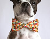 Retro Geometric Dog Bow-tie - Dog Accessories - Photo Prop - littlebluefeather