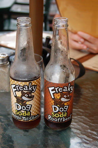Freaky dog
