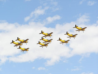 RNZAF Red Checkers CT4/E