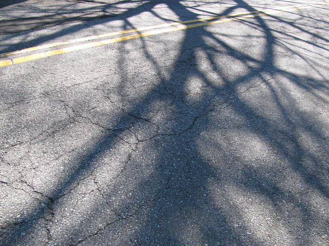 road shadow
