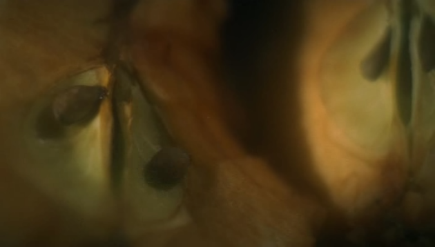 photo 614e0519-0478-4eb2-aa89-97fb26500a20_zpsea33330c.png