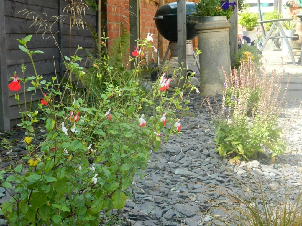 Homebase Garden Makeover Project The Final Reveal Love Chic Living Homebase Garden Makeover Project The Final Reveal Love Chic Living