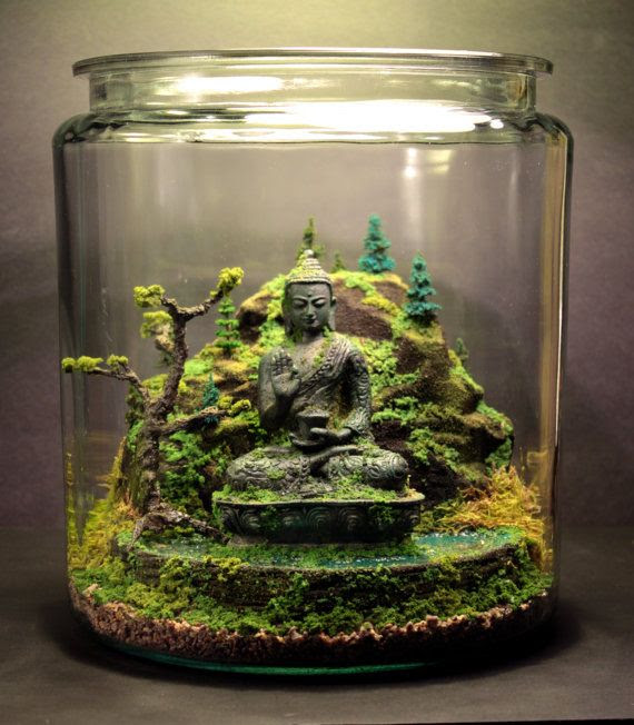 สวนหลอดแก้ว สวนขวดแก้ว (Terrariums) สวนขนาดจิ๋วเหมือนในนิยาย
