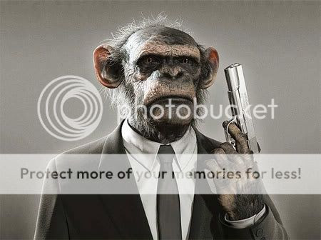 pictures of monkeys with guns | Andrew Garfield