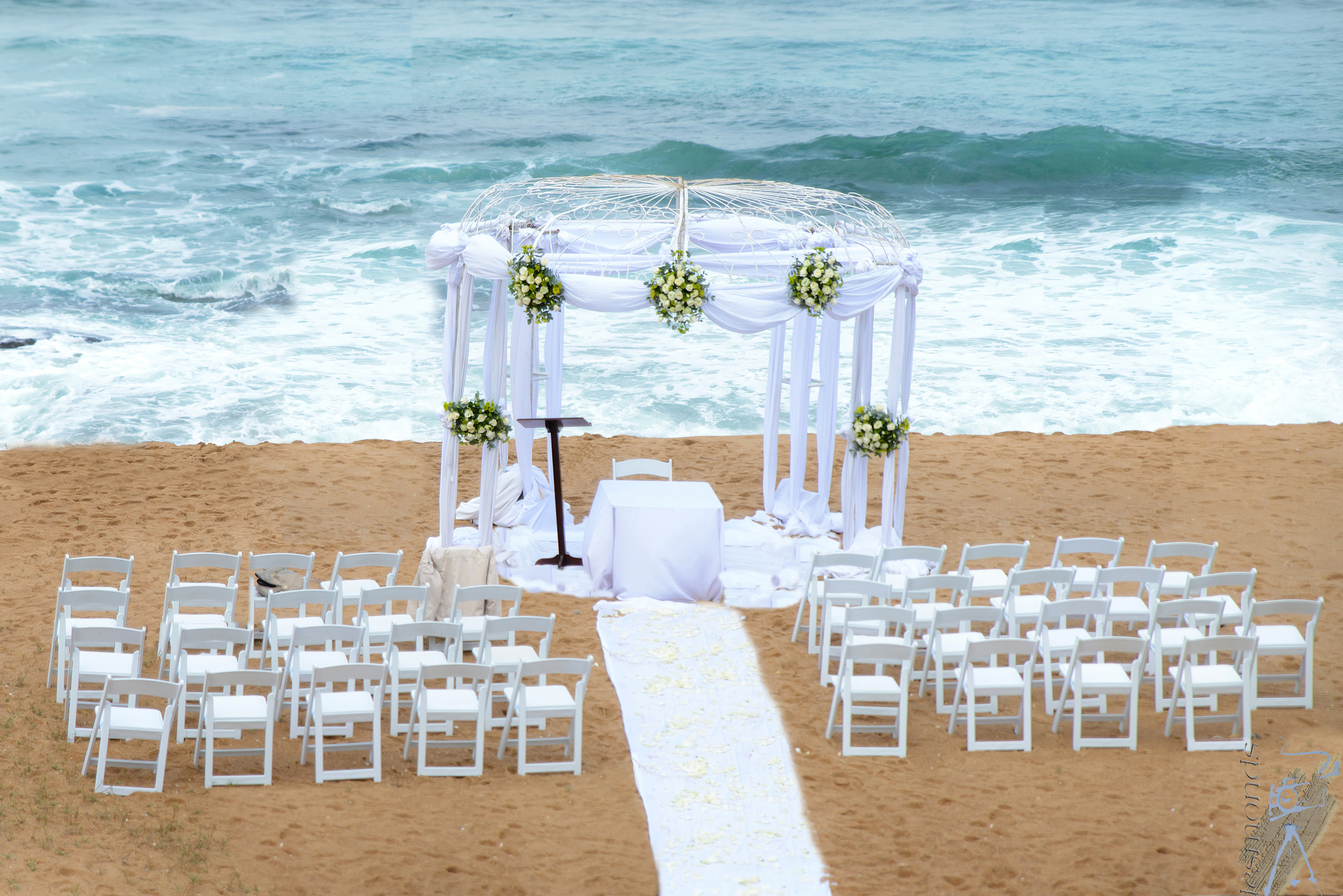 Cheap Beach Wedding Venues Season Love