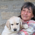 Saint-Menges: Elle éduque de futurs chiens d'assistance