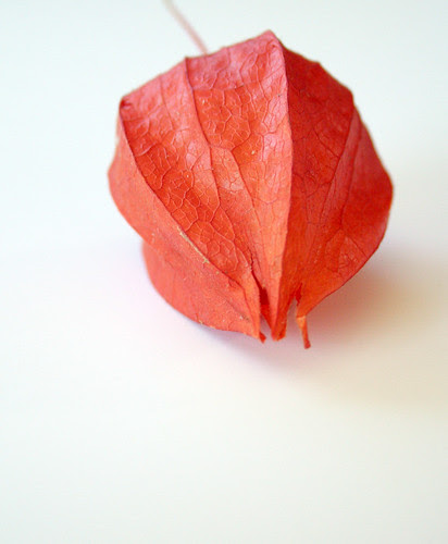 orange lantern